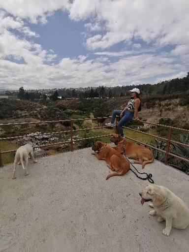 Fakali Homestay Quito Eksteriør billede