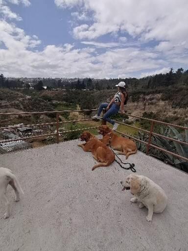 Fakali Homestay Quito Eksteriør billede